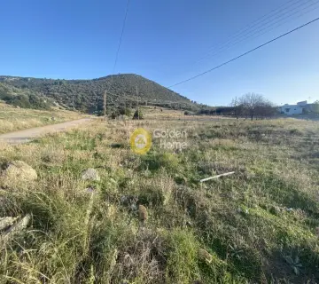 Residential 1378m<sup>2</sup> for sale photo 3480187