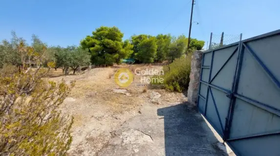 Residential 941m<sup>2</sup> for sale photo 2