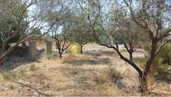 Residential 941m<sup>2</sup> for sale photo 5
