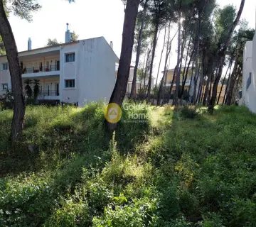 Residential 700m<sup>2</sup> for sale photo 2