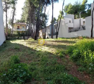 Residential 700m<sup>2</sup> for sale photo 5