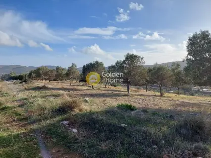 Οικιστικό 5111τ.μ. προς πώληση φωτογραφία 5