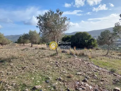 Οικιστικό 5111τ.μ. προς πώληση φωτογραφία 6