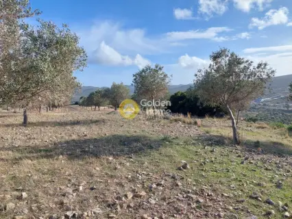 Οικιστικό 5111τ.μ. προς πώληση φωτογραφία 7
