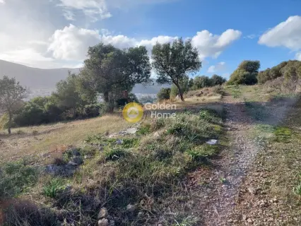 Οικιστικό 5111τ.μ. προς πώληση φωτογραφία 9