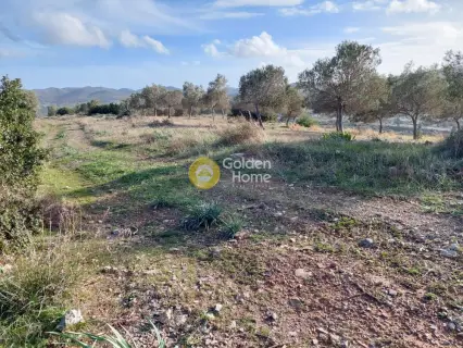 Οικιστικό 5111τ.μ. προς πώληση φωτογραφία 2