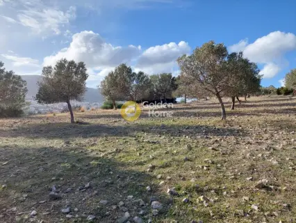 Οικιστικό 5111τ.μ. προς πώληση φωτογραφία 10