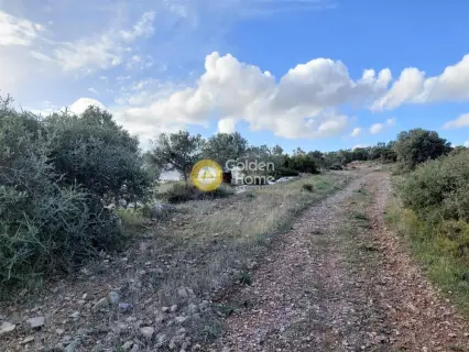 Οικιστικό 5111τ.μ. προς πώληση φωτογραφία 12