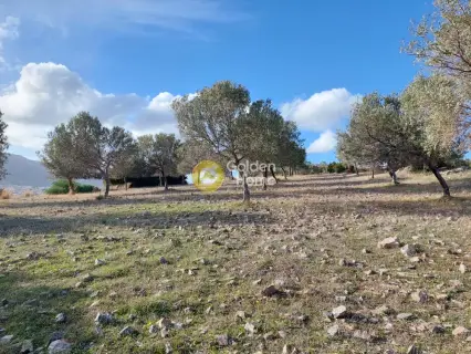 Οικιστικό 5111τ.μ. προς πώληση φωτογραφία 11