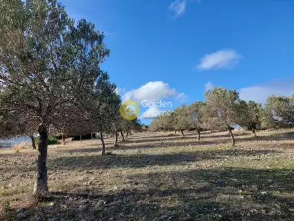 Οικιστικό 5111τ.μ. προς πώληση φωτογραφία 1