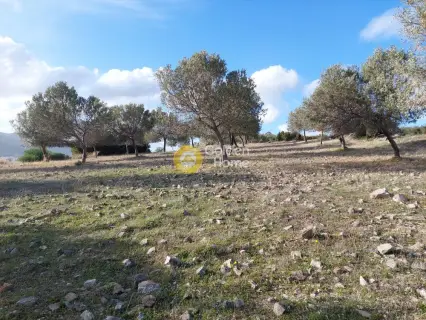 Οικιστικό 5111τ.μ. προς πώληση φωτογραφία 13