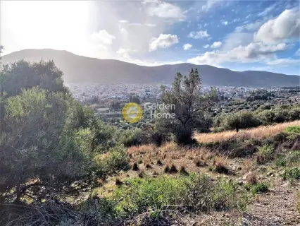Οικιστικό 5111τ.μ. προς πώληση φωτογραφία 3