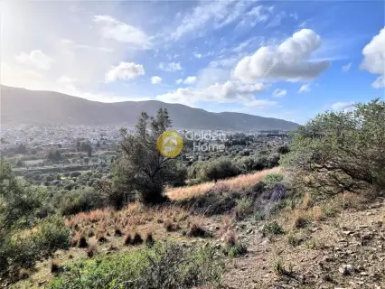 Οικιστικό 5111τ.μ. προς πώληση φωτογραφία 4