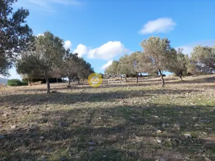 Οικιστικό 5111τ.μ. προς πώληση φωτογραφία 14
