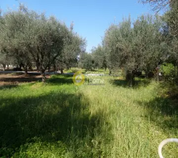Residential 1350m<sup>2</sup> for sale photo 3488151