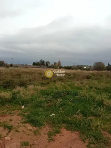Professional Plot 18135m<sup>2</sup> for sale photo 2