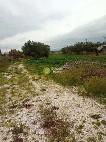 Professional Plot 18135m<sup>2</sup> for sale photo 3
