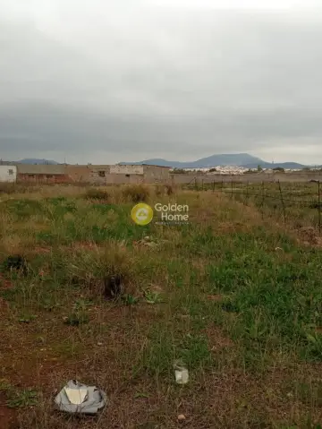 Professional Plot 18135m<sup>2</sup> for sale photo 4