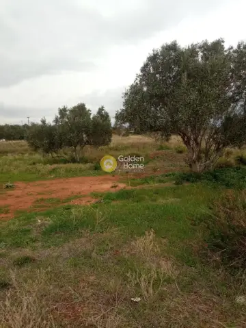 Professional Plot 18135m<sup>2</sup> for sale photo 5