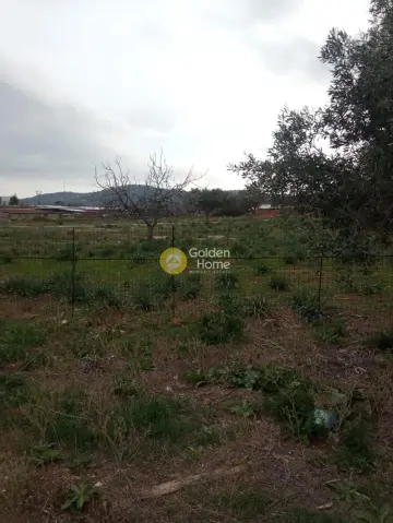 Professional Plot 18135m<sup>2</sup> for sale photo 6