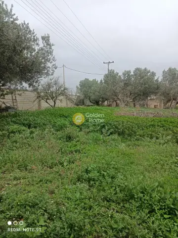Professional Plot 18135m<sup>2</sup> for sale photo 12