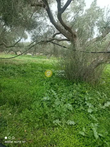 Professional Plot 18135m<sup>2</sup> for sale photo 13