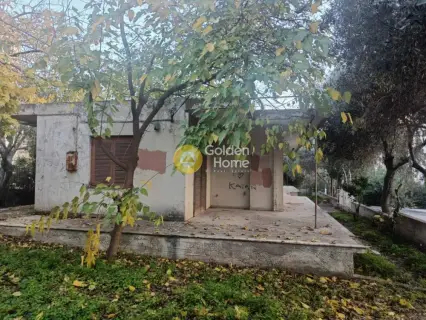 Residential 860m<sup>2</sup> for sale photo 8