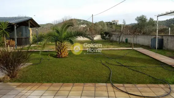 Residence complex 380m<sup>2</sup> for sale photo 9