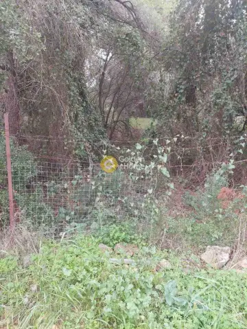 Residential 400m<sup>2</sup> for sale photo 4