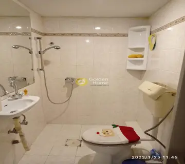 独立复式小屋 260m<sup>2</sup> for sale photo 16