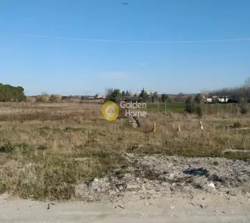 Parcel 3000m<sup>2</sup> for rent photo 9