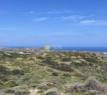 Οικιστικό 24000τ.μ. προς πώληση φωτογραφία 4