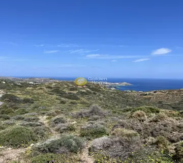 Οικιστικό 24000τ.μ. προς πώληση φωτογραφία 6
