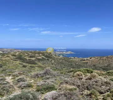 Οικιστικό 24000τ.μ. προς πώληση φωτογραφία 10