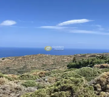 Οικιστικό 24000τ.μ. προς πώληση φωτογραφία 9