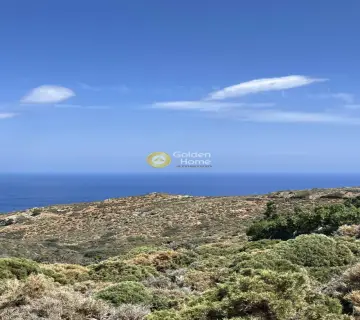 Οικιστικό 24000τ.μ. προς πώληση φωτογραφία 15