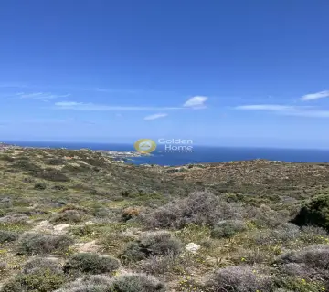 Οικιστικό 24000τ.μ. προς πώληση φωτογραφία 14