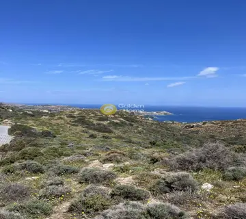 Οικιστικό 24000τ.μ. προς πώληση φωτογραφία 13