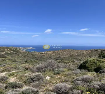 Οικιστικό 24000τ.μ. προς πώληση φωτογραφία 12