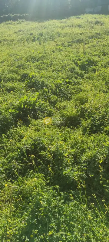 Professional Plot 1168m<sup>2</sup> for sale photo 1