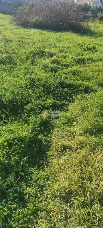 Professional Plot 1168m<sup>2</sup> for sale photo 3