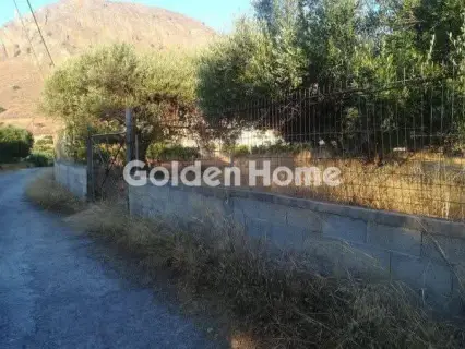 Residential 762m<sup>2</sup> for sale photo 5579778