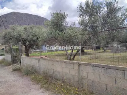 Residential 762m<sup>2</sup> for sale photo 5579784