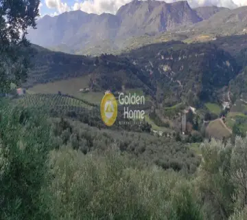 Golden Home Property Image