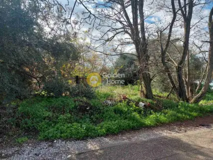 Residential 2000m<sup>2</sup> for sale photo 8