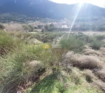 Residential 1193m<sup>2</sup> for sale photo 3494186