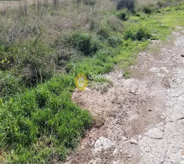 Οικιστικό 1165τ.μ. προς πώληση φωτογραφία 3494952