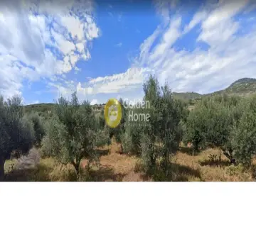Area 30000m<sup>2</sup> for sale photo 2
