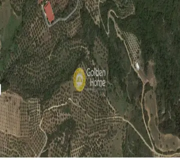 Area 30000m<sup>2</sup> for sale photo 1