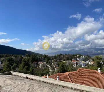 Μονοκατοικία 500τ.μ. προς πώληση φωτογραφία 4